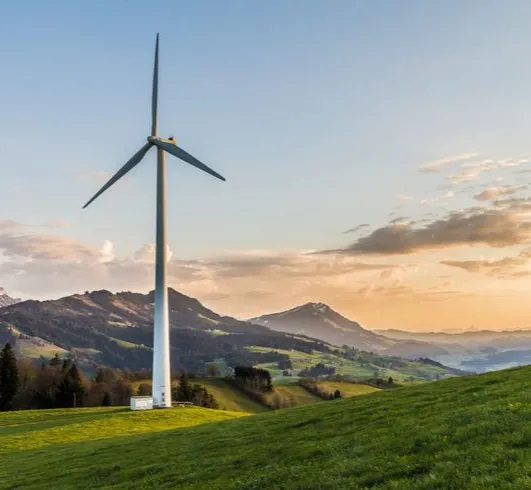 المزارع الخضراء